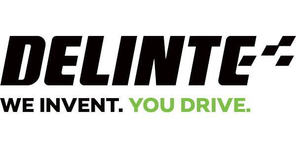 логотип Delinte