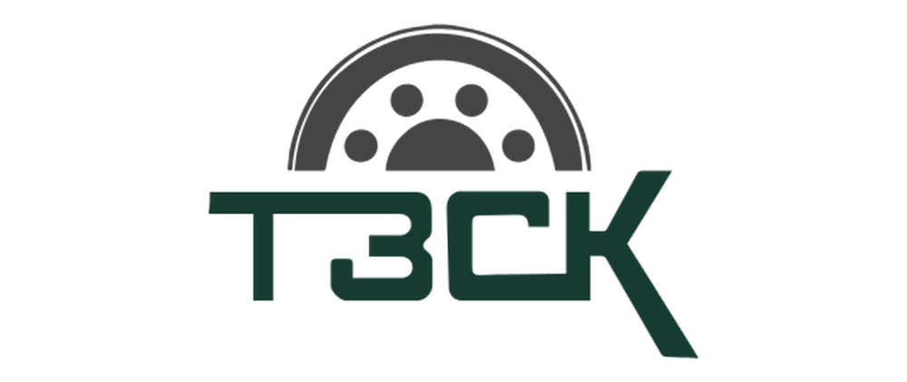 логотип ТЗСК